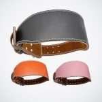 Heavy Duty Leather Waist Support